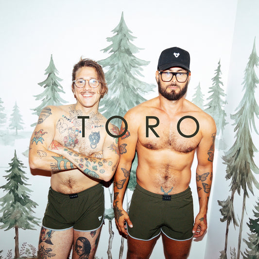 TORO BOX